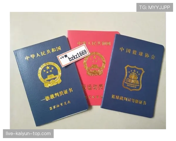 裁判报告在足球比赛中如何反映判罚细节与规则执行标准？