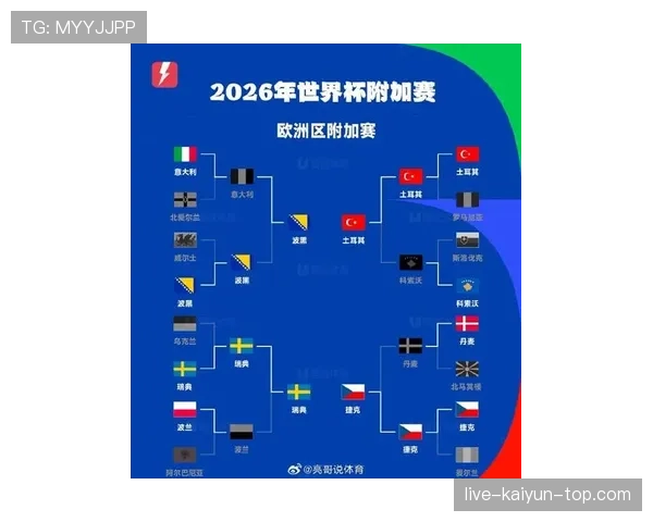 波黑能否突破重围晋级2026世界杯 预选赛出线形势深度分析 波黑能否突破重围晋级2026世界杯 预选赛出线形势深度分析