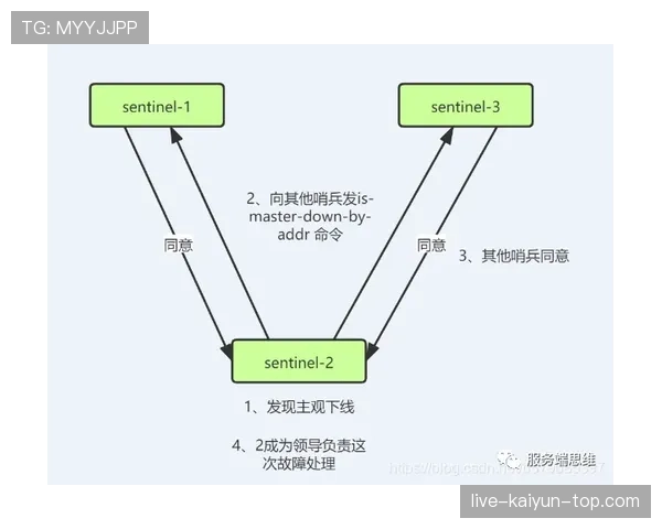 米特罗维奇支点作用与对抗能力的机制解析 米特罗维奇支点作用与对抗能力的机制解析