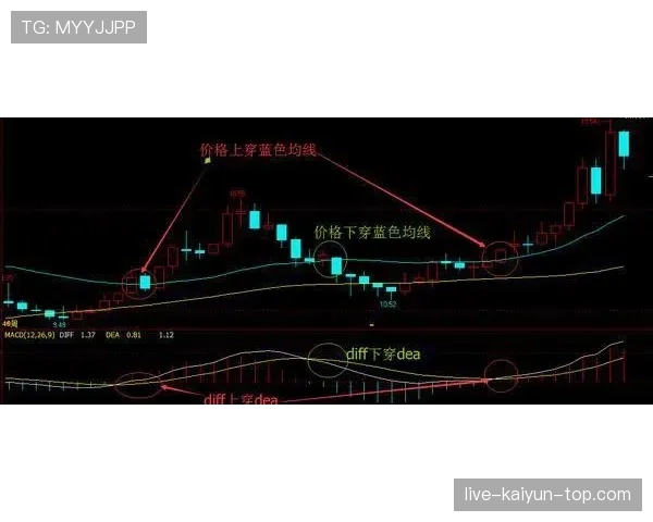 边线规则解析：出界、触线与换人进入怎么判